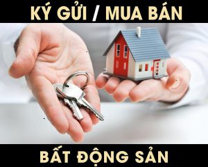 Mua bán nhà đất quận 11